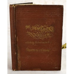 New Parks Beyond the Harlem with Thirty Illustrations and Map; Descriptions of Scenery; Nearly 4000 Acres of Free Playground for the People